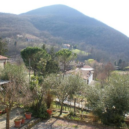 Locanda-Trattoria Al Rio Cinto Euganeo Екстериор снимка
