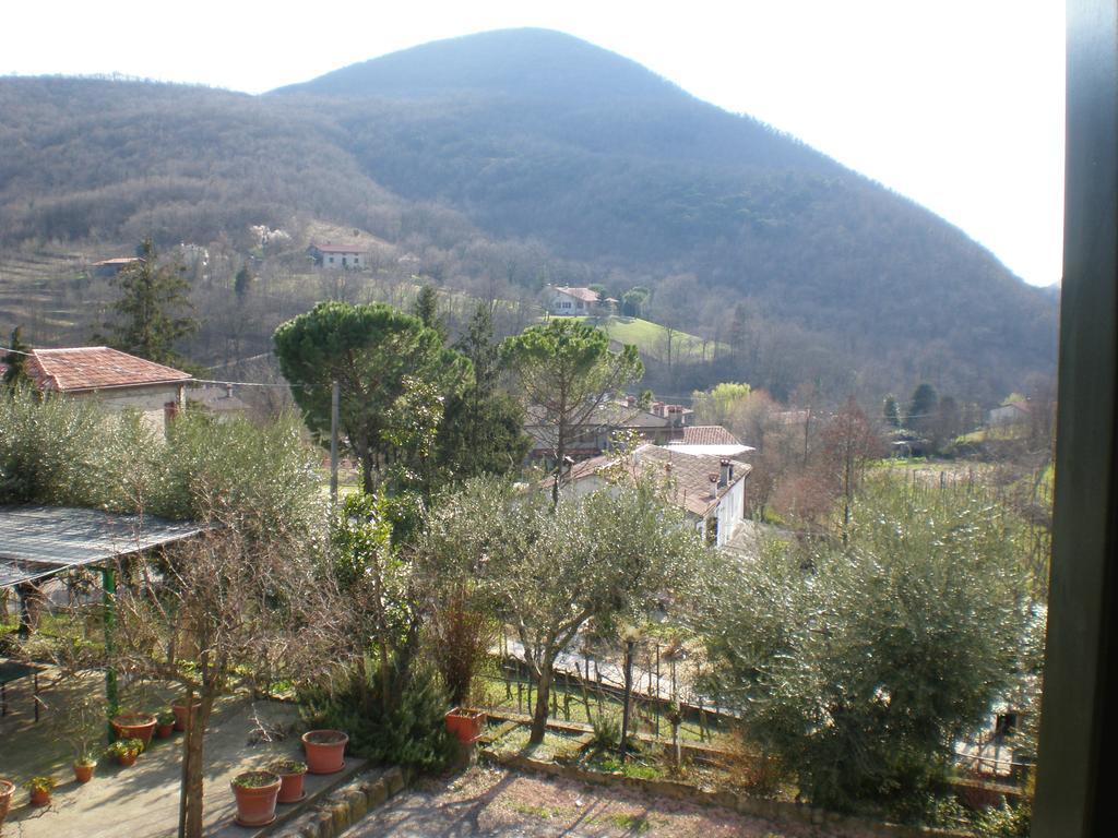 Locanda-Trattoria Al Rio Cinto Euganeo Екстериор снимка